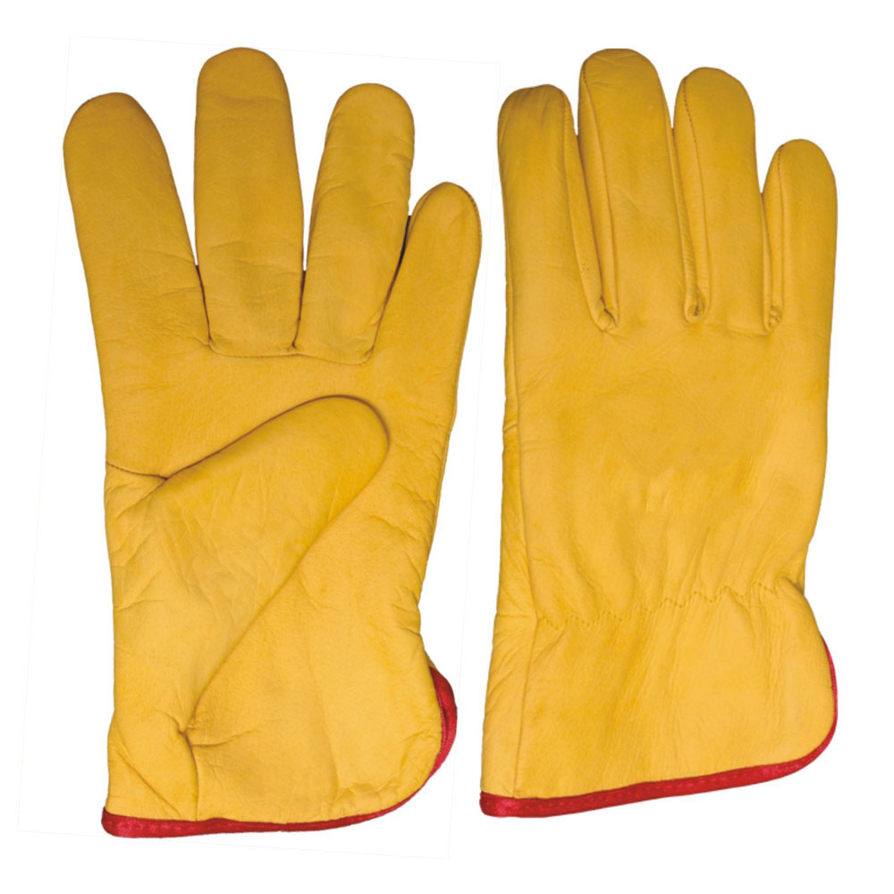 Driving Gloves